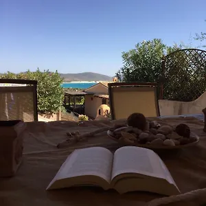 book here